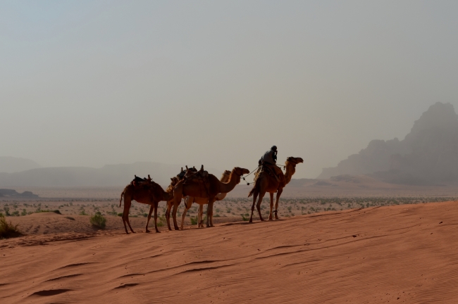 Grecia, Turqua y Jordania